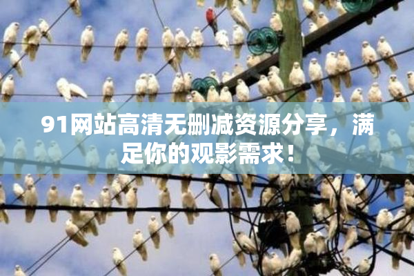 91网站高清无删减资源分享，满足你的观影需求！