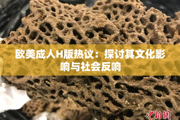 欧美成人H版热议：探讨其文化影响与社会反响