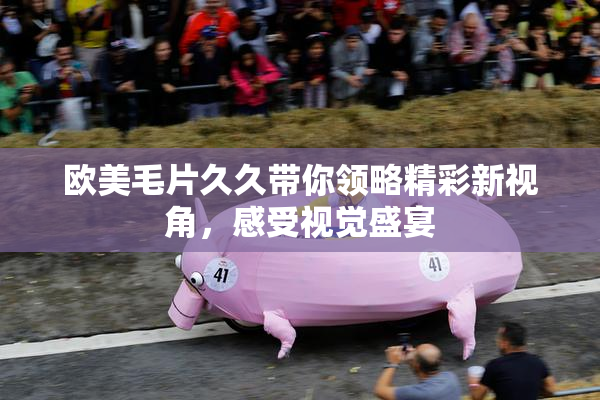 欧美毛片久久带你领略精彩新视角，感受视觉盛宴