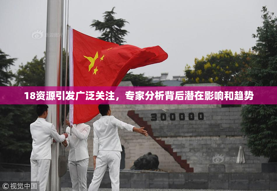 18资源引发广泛关注，专家分析背后潜在影响和趋势