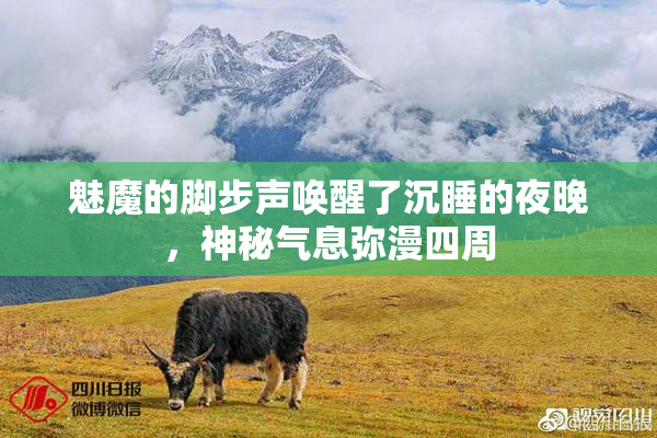 魅魔的脚步声唤醒了沉睡的夜晚，神秘气息弥漫四周