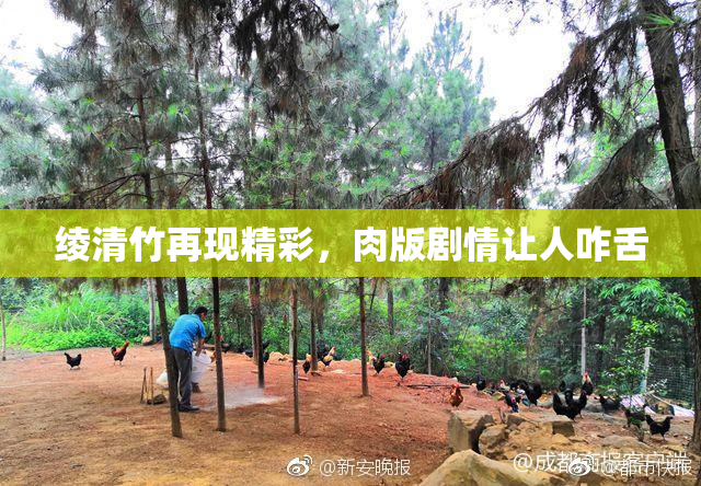 绫清竹再现精彩，肉版剧情让人咋舌