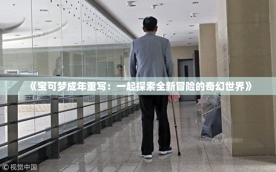 《宝可梦成年重写：一起探索全新冒险的奇幻世界》