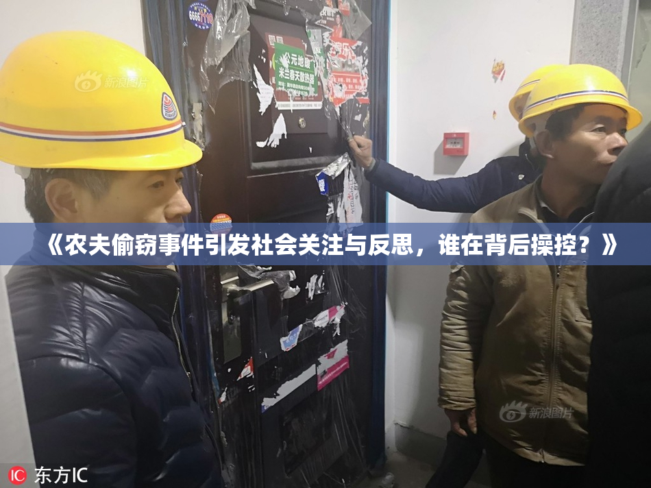 《农夫偷窃事件引发社会关注与反思，谁在背后操控？》