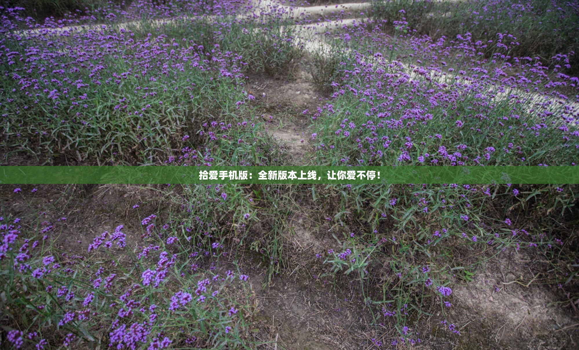 拾爱手机版：全新版本上线，让你爱不停！