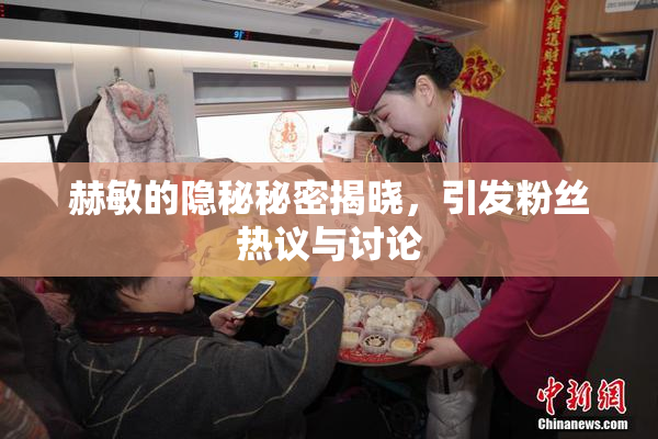 赫敏的隐秘秘密揭晓，引发粉丝热议与讨论