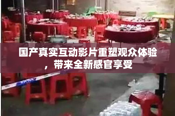 国产真实互动影片重塑观众体验，带来全新感官享受