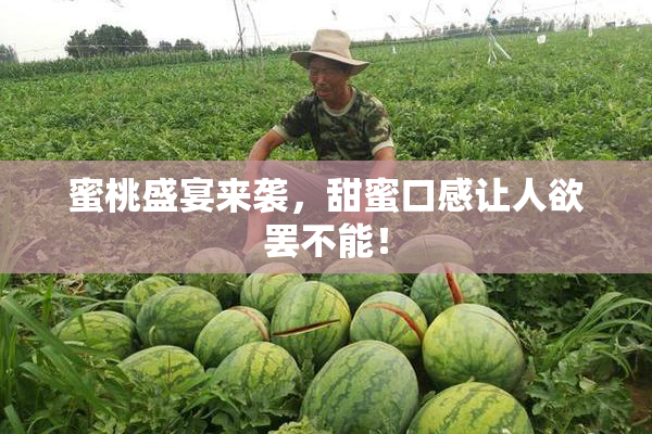 蜜桃盛宴来袭，甜蜜口感让人欲罢不能！