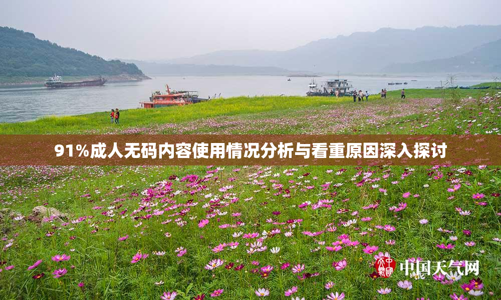 91%成人无码内容使用情况分析与看重原因深入探讨