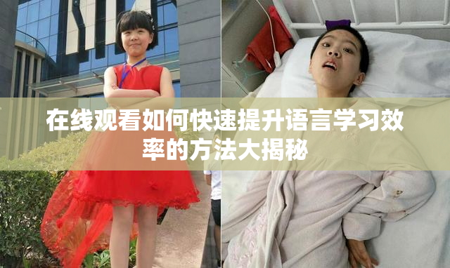 在线观看如何快速提升语言学习效率的方法大揭秘