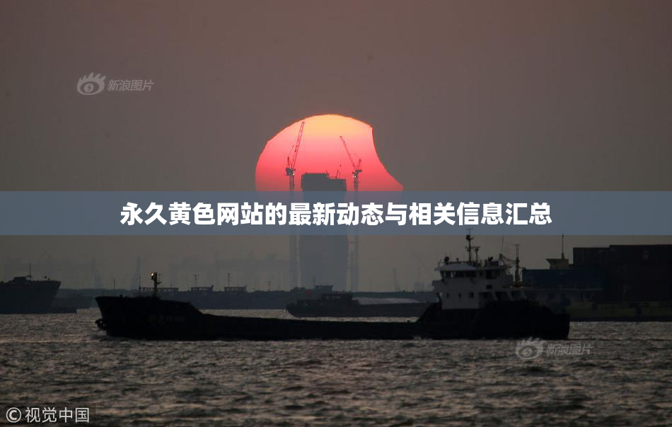 永久黄色网站的最新动态与相关信息汇总
