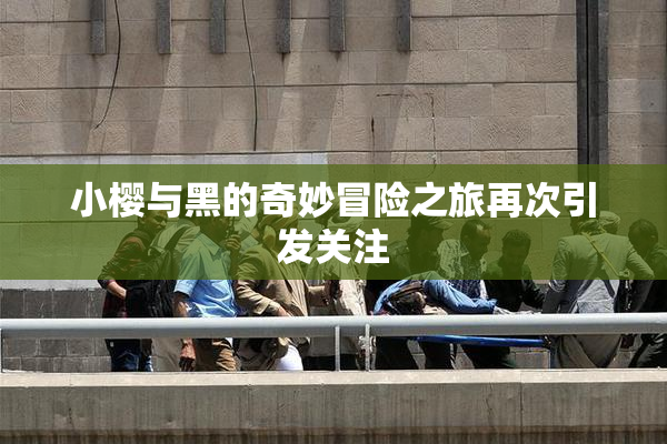 小樱与黑的奇妙冒险之旅再次引发关注