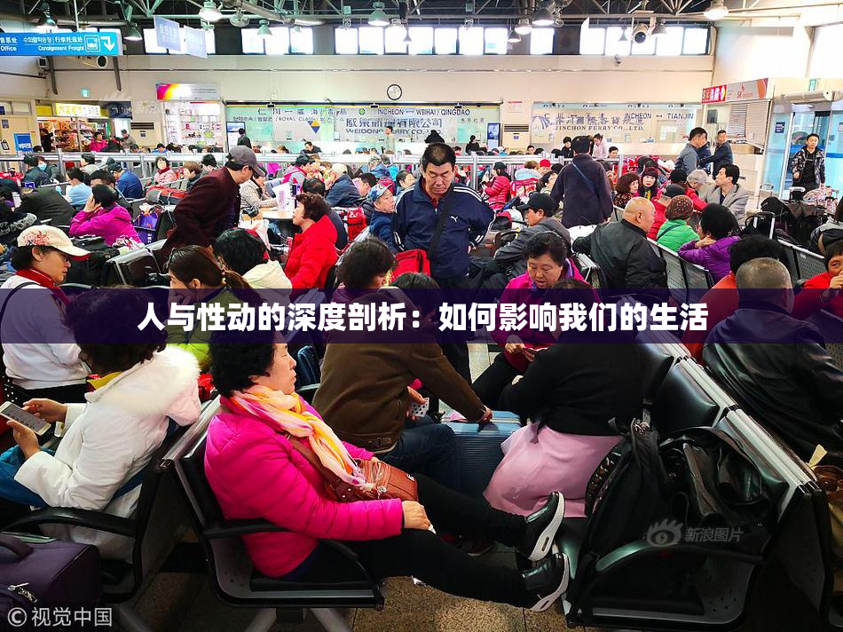 人与性动的深度剖析：如何影响我们的生活