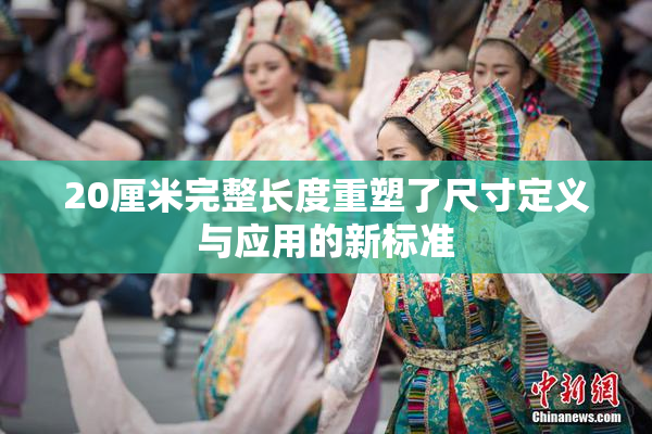 20厘米完整长度重塑了尺寸定义与应用的新标准