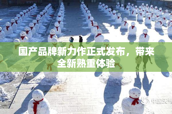 国产品牌新力作正式发布，带来全新熟重体验