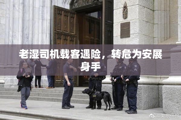 老湿司机载客遇险，转危为安展身手