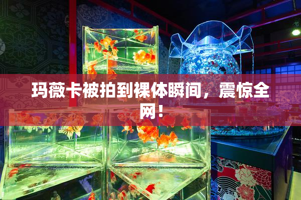 玛薇卡被拍到裸体瞬间，震惊全网！
