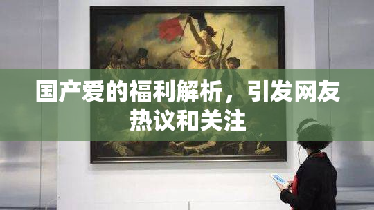 国产爱的福利解析，引发网友热议和关注