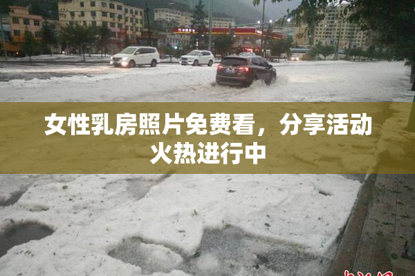 女性乳房照片免费看，分享活动火热进行中