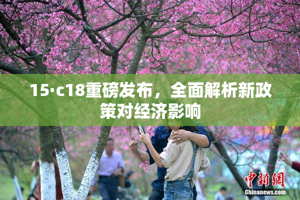 15·c18重磅发布，全面解析新政策对经济影响