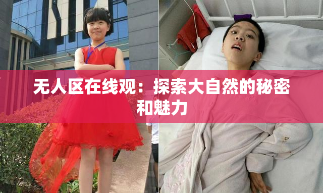 无人区在线观：探索大自然的秘密和魅力