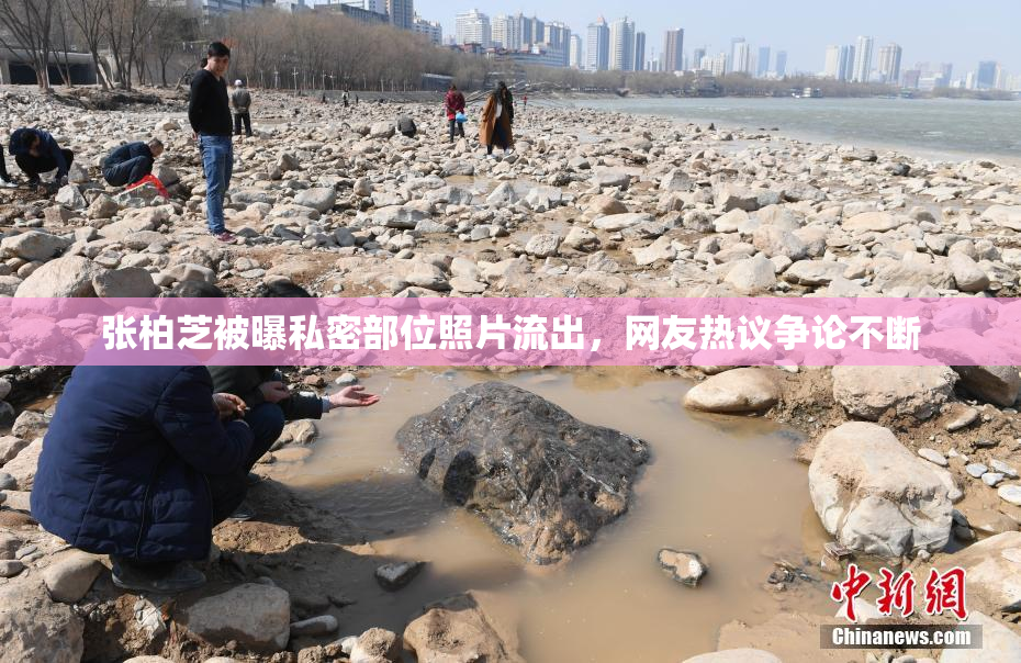 张柏芝被曝私密部位照片流出，网友热议争论不断