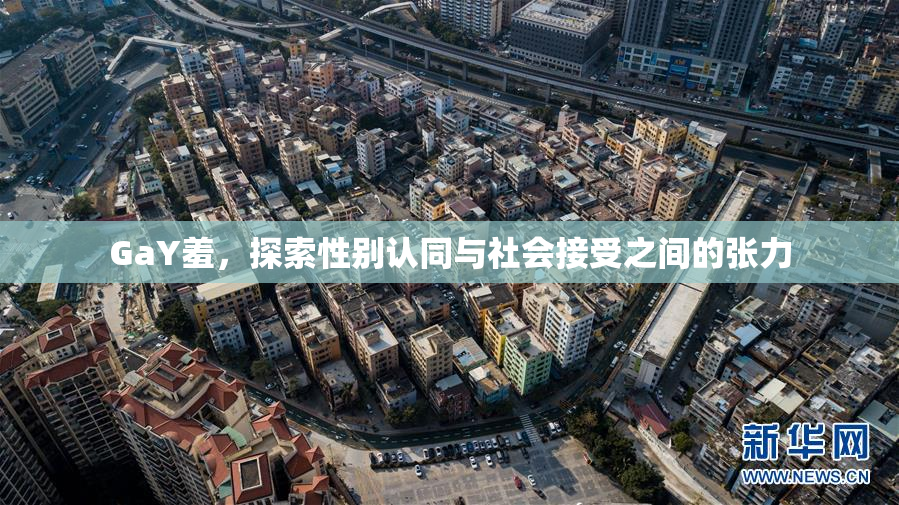 GaY羞，探索性别认同与社会接受之间的张力