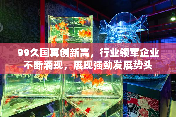 99久国再创新高，行业领军企业不断涌现，展现强劲发展势头