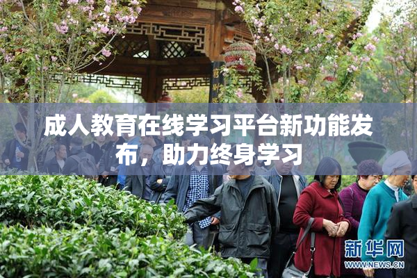 成人教育在线学习平台新功能发布，助力终身学习