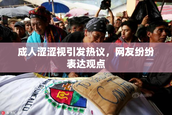 成人涩涩视引发热议，网友纷纷表达观点