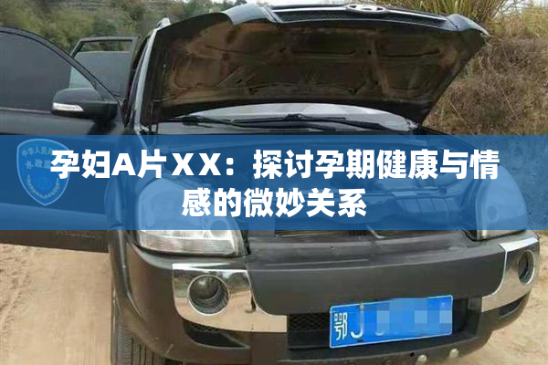孕妇A片ⅩX：探讨孕期健康与情感的微妙关系