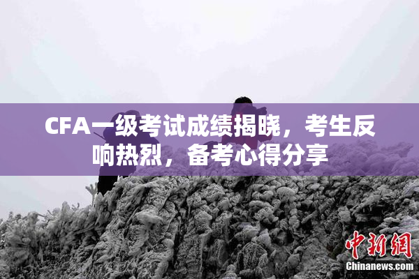 CFA一级考试成绩揭晓，考生反响热烈，备考心得分享