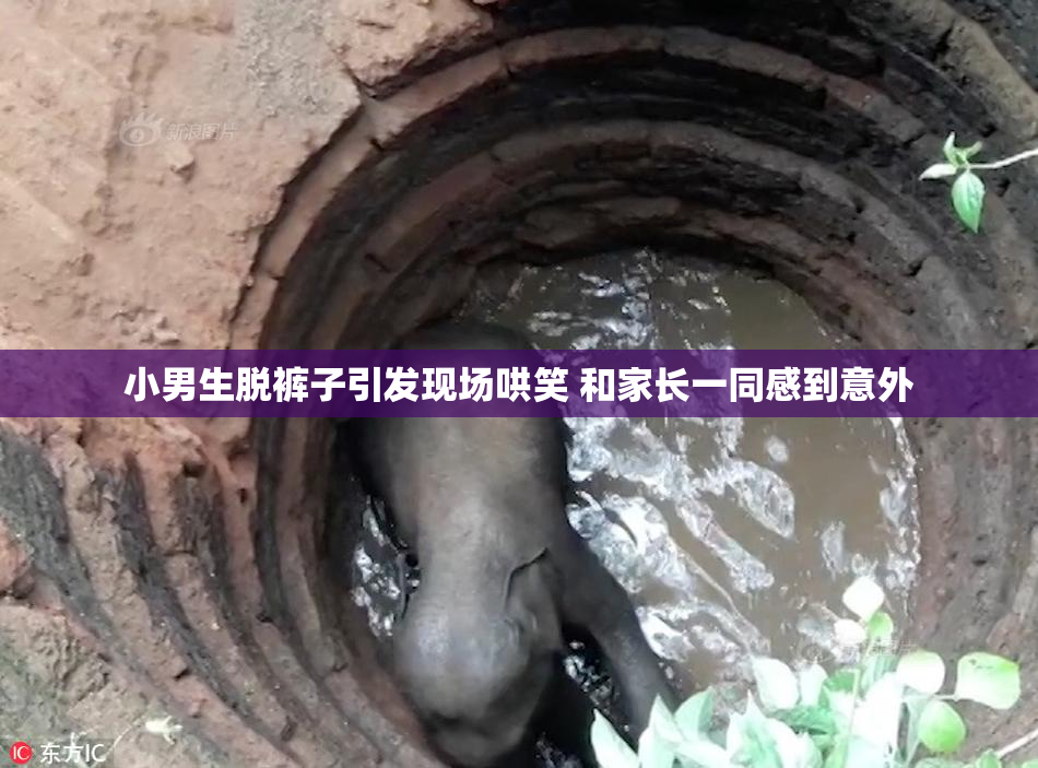 小男生脱裤子引发现场哄笑 和家长一同感到意外