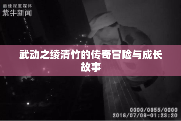 武动之绫清竹的传奇冒险与成长故事