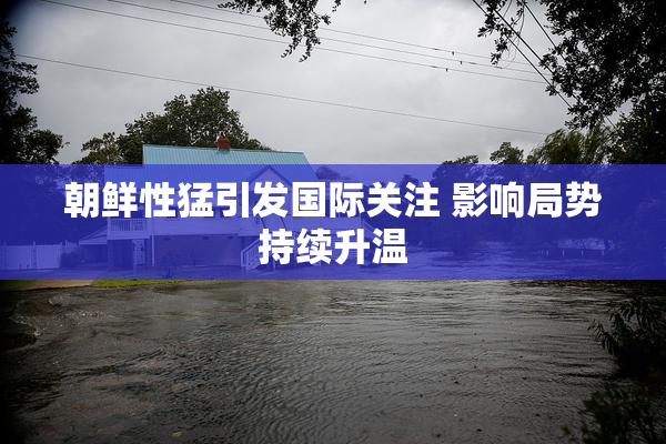 朝鲜性猛引发国际关注 影响局势持续升温