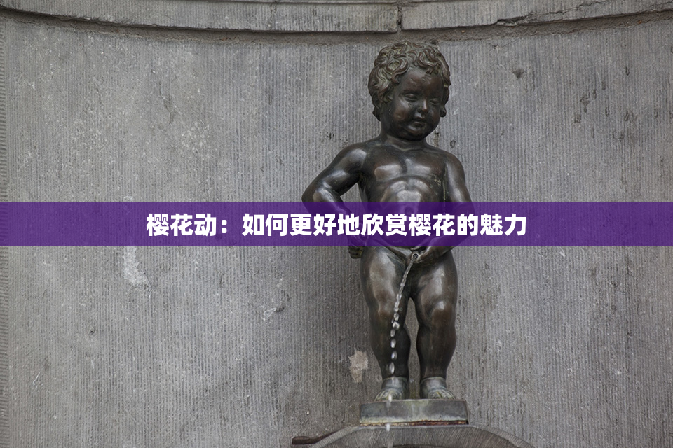 樱花动：如何更好地欣赏樱花的魅力