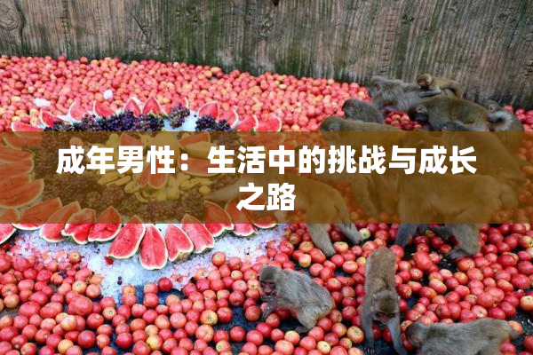 成年男性：生活中的挑战与成长之路