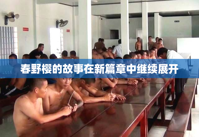春野樱的故事在新篇章中继续展开