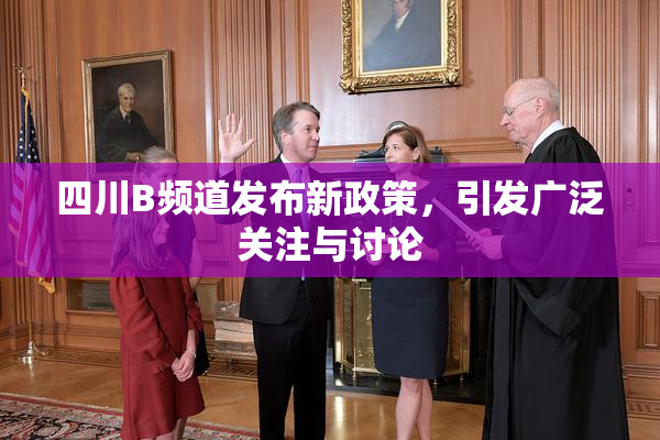 四川B频道发布新政策，引发广泛关注与讨论