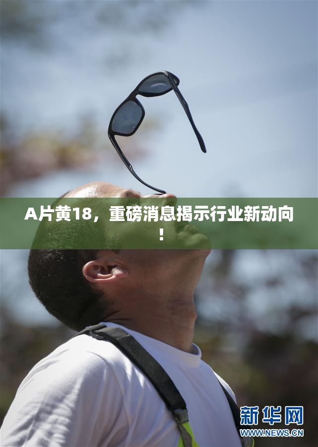 A片黄18，重磅消息揭示行业新动向！