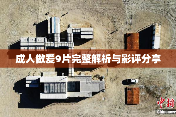 成人做爰9片完整解析与影评分享