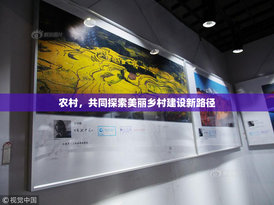 农村，共同探索美丽乡村建设新路径
