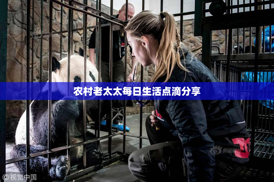 农村老太太每日生活点滴分享