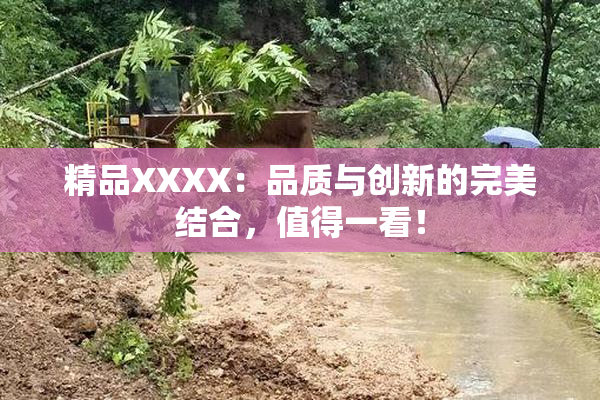 精品XXXX：品质与创新的完美结合，值得一看！