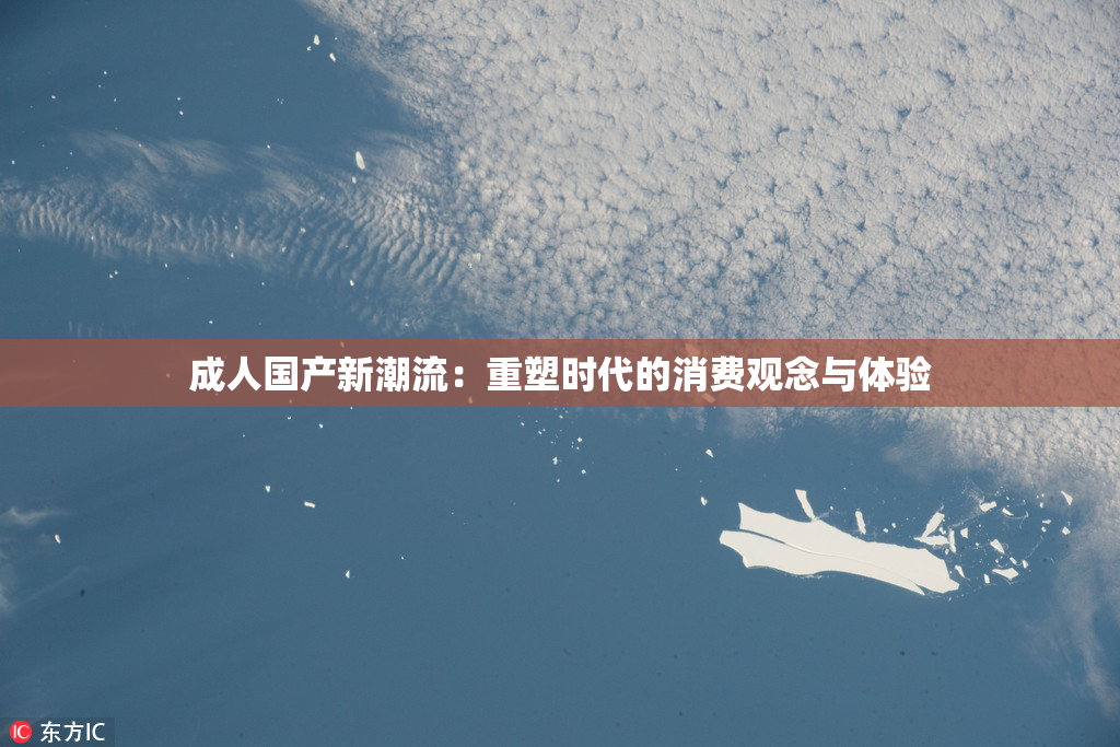 成人国产新潮流：重塑时代的消费观念与体验