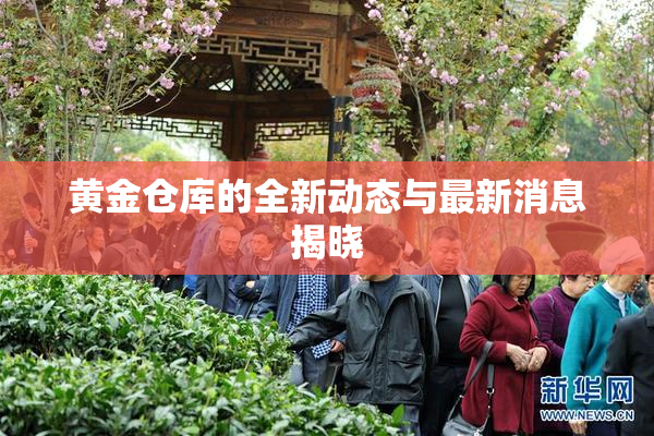 黄金仓库的全新动态与最新消息揭晓