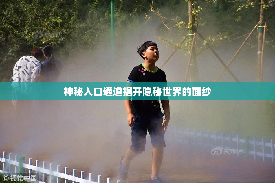 神秘入口通道揭开隐秘世界的面纱