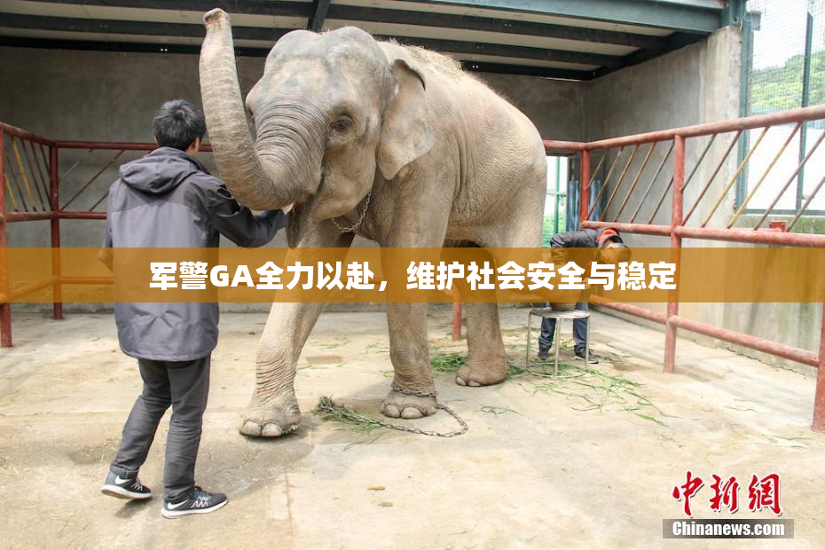 军警GA全力以赴，维护社会安全与稳定