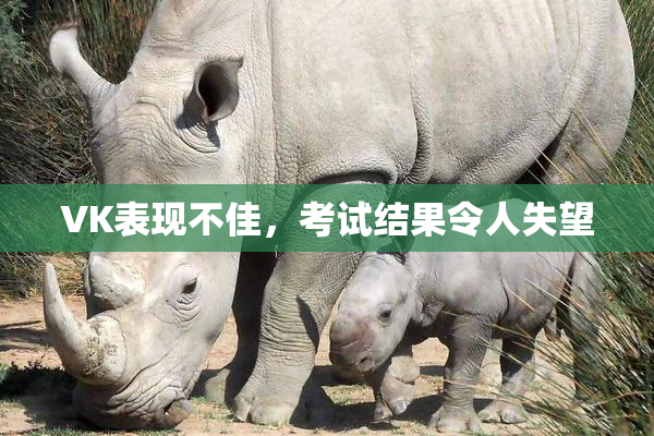 VK表现不佳，考试结果令人失望