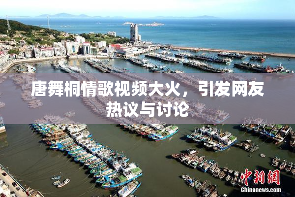 唐舞桐情歌视频大火，引发网友热议与讨论